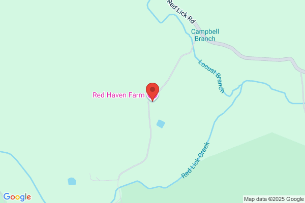 Meadow Haven Farms