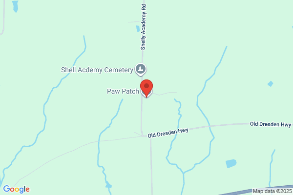 Paw Patch the
