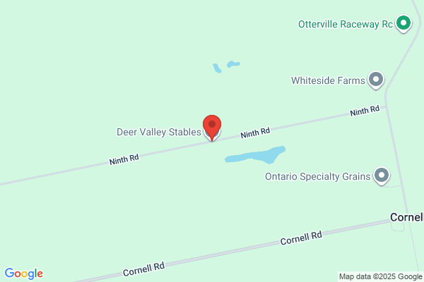 Deer Valley Stables