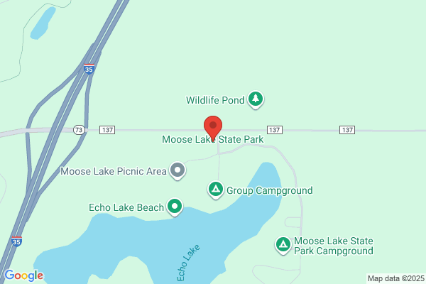 Moose Crossing
