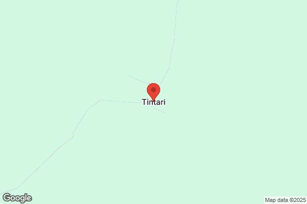 Tintari Group Inc the
