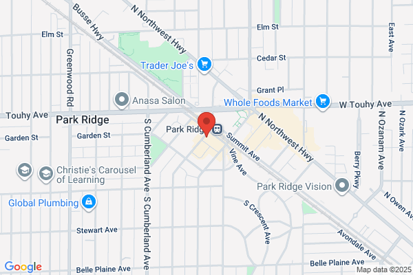 Garage Door Repair Park Ridge