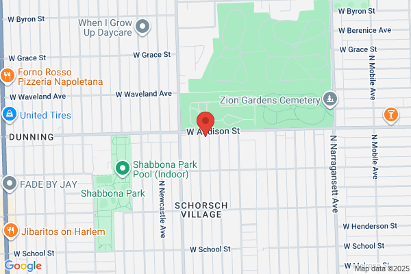 Chicago Discus