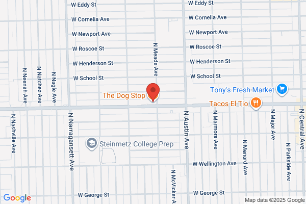 Dog Stop the