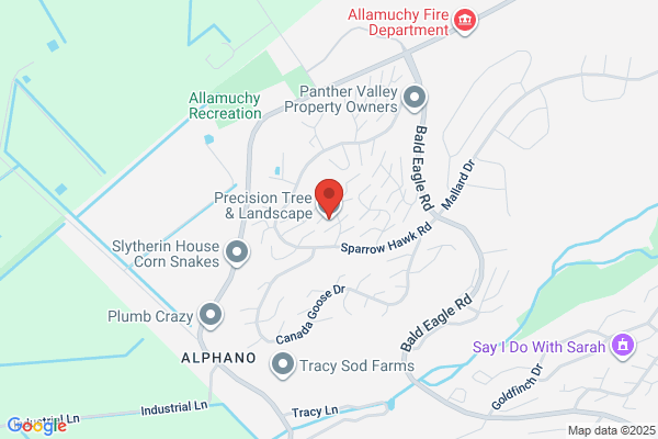 Precision Tree Service Inc
