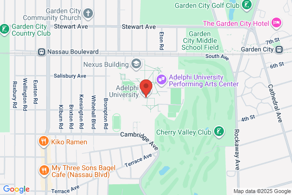 Adelphi Educational Services