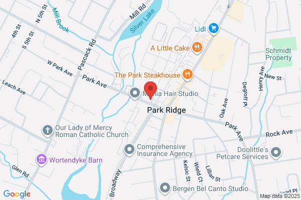 Carquest Auto Parts - P and A Auto Parts - Park Ridge