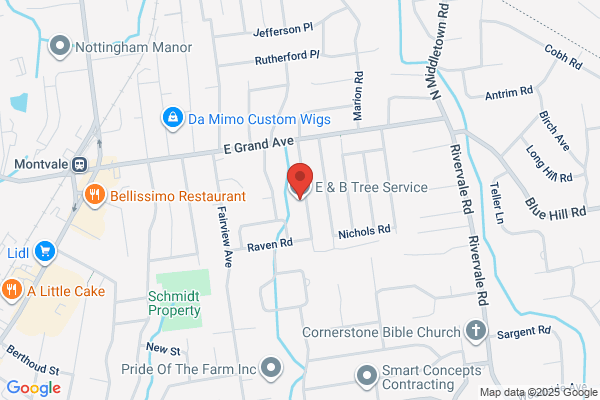 B & B Tree Service