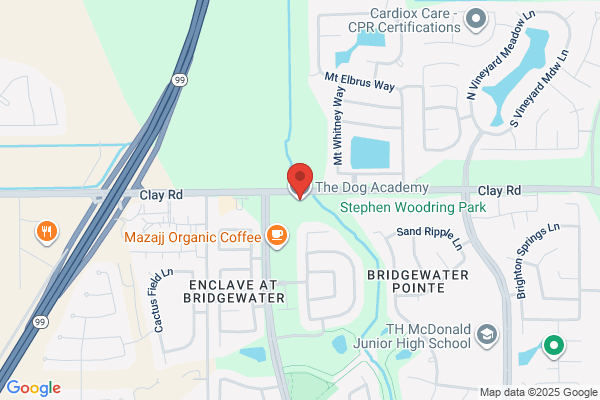 iLuckyDog Pet Campus