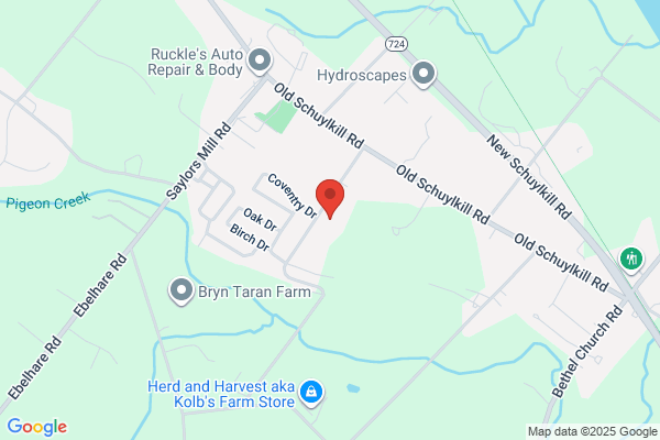 B.G. Services | Certified Arborist / Tree Service