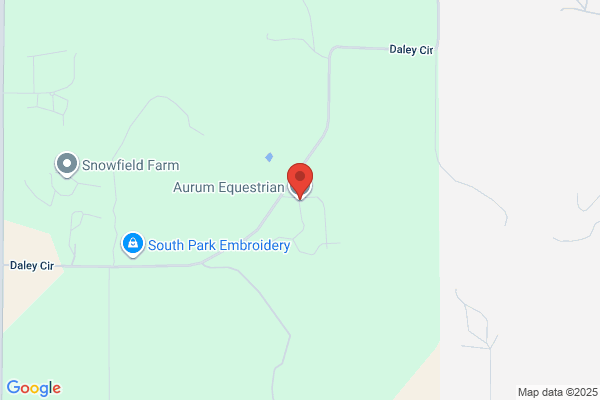 Aurum Equestrian