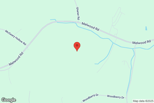 Allegheny Township