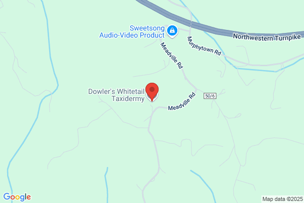 Dowler's Taxidermy