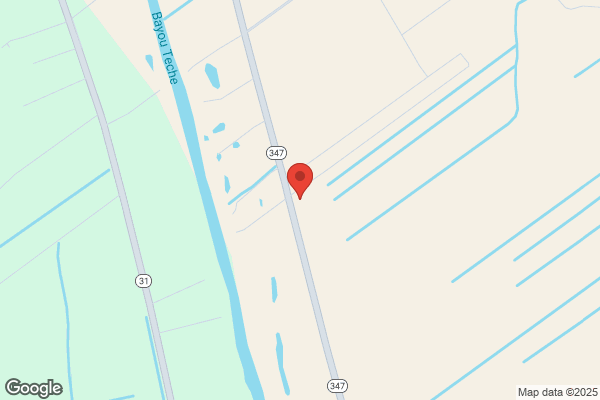Rene's Auto Repair