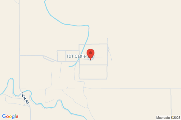 T & T Cattle