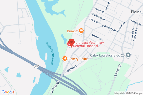 Plains Animal Hospital