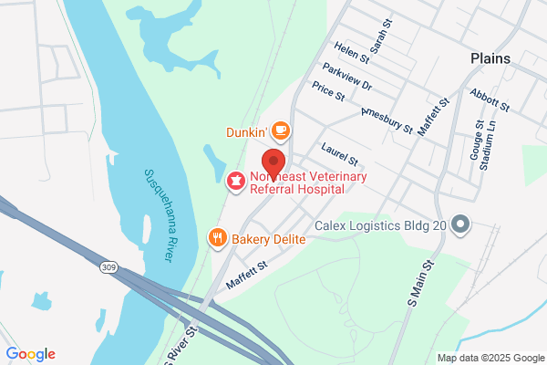 Riverview Orthotics and Prosthetics