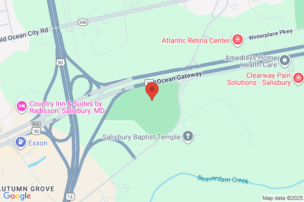 Delmarva Shorebirds