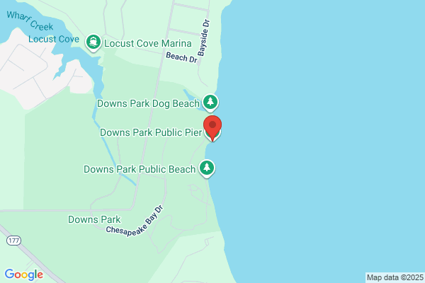 Pier 1 - Closed