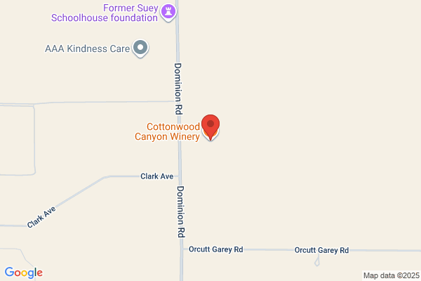 Cottonwood On Arroyo