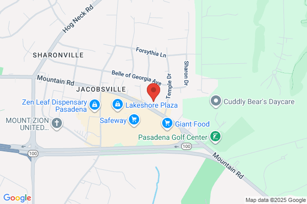 Chesapeake Health Services
