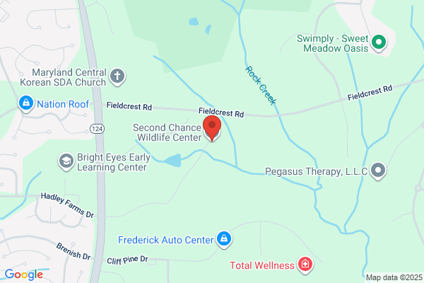 Maryland Wildlife Rehabilitators Association Inc