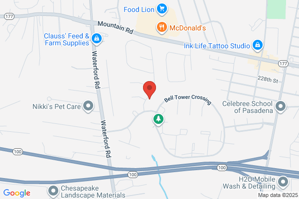Chesapeake Public Accounting