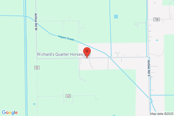Horses R US