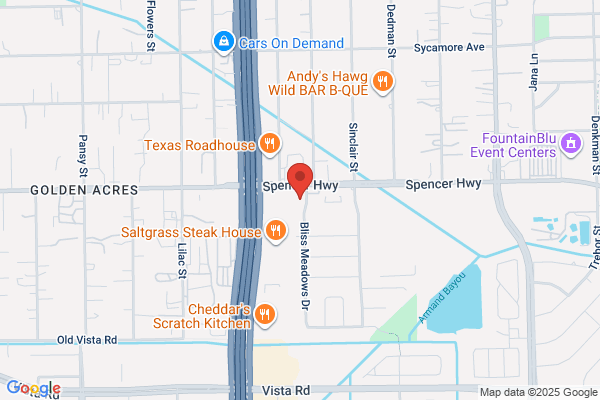Advance Auto Parts