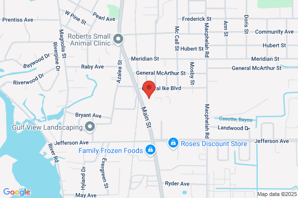 Family Dollar Stores Inc