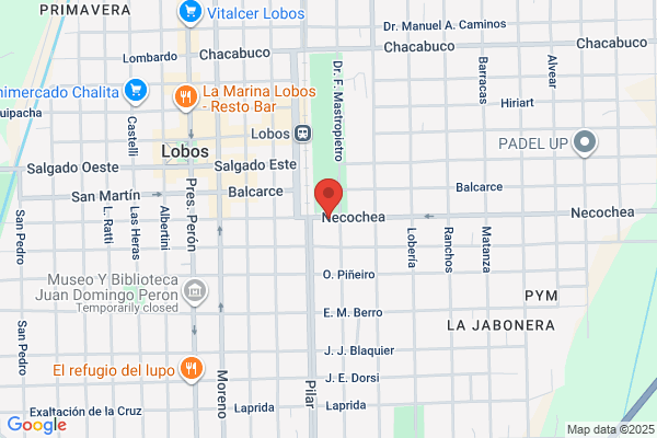 Servicios Profesionales Lobos