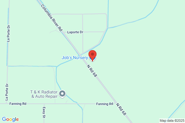 Job's Nursery