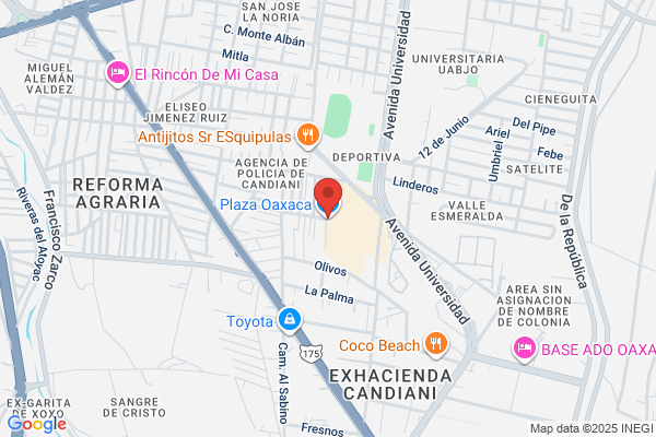 Plaza Oaxaca LLC