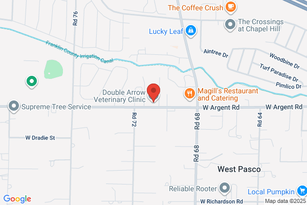 Double Arrow Veterinary Clinic