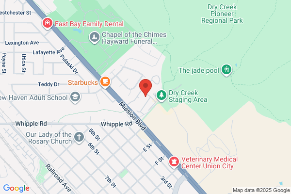Dry Creek Apartments