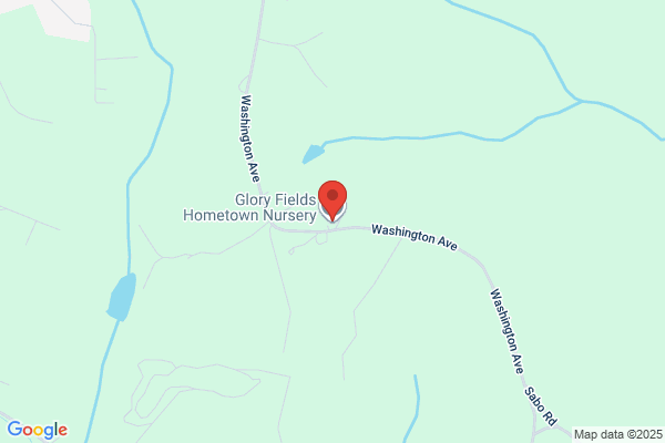 Hometown Nursery