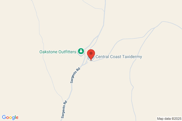 Central Coast Taxidermy