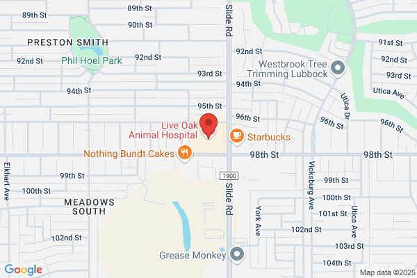 Live Oak Animal Hospital