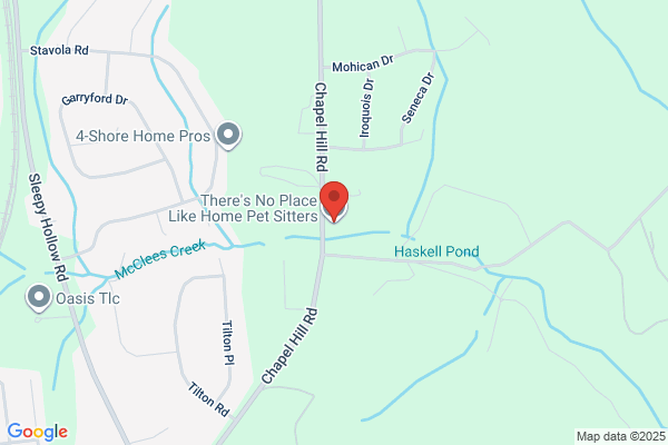 No Place Like Home-Pet Sitters