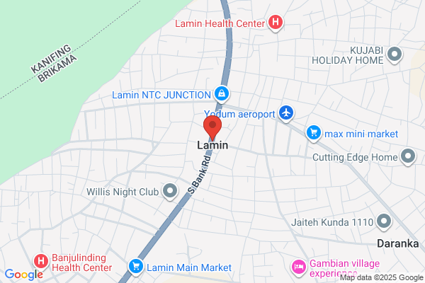 Lamin8
