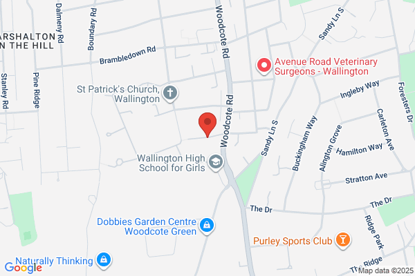 Wallington Footcare Center