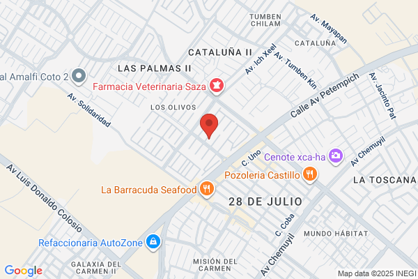 Mexicana Travel Agency