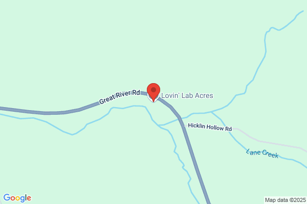Lovin' Lab Acres