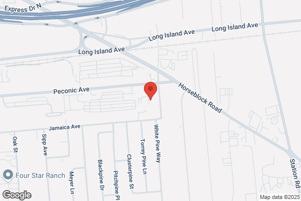 Long Island Mobile Homes LLC