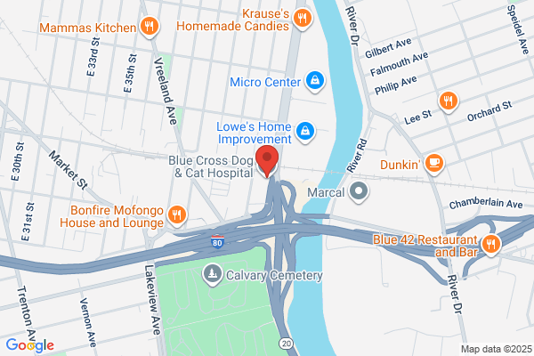 Animal Clinic of Paterson