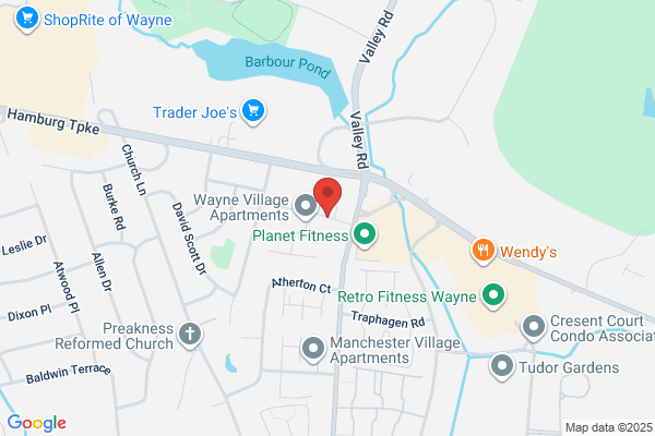 Wayne Village