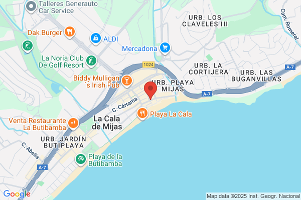 Toledo Marbella Realty