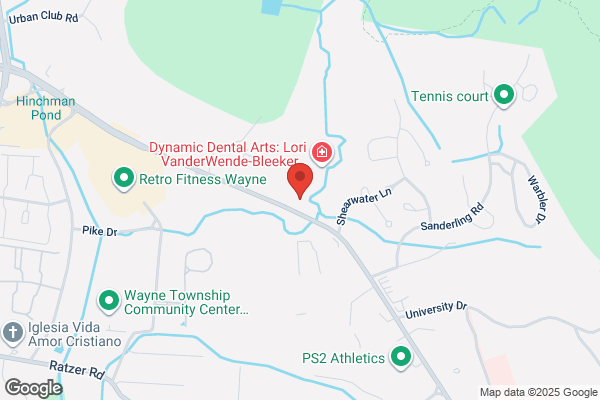 Dynamic Financial Consultants Inc