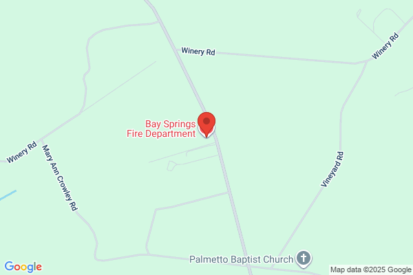 Bay Springs Vol Fire Department-Non-Emergency