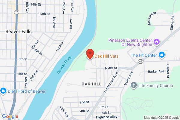 Oak Hill Veterans Association